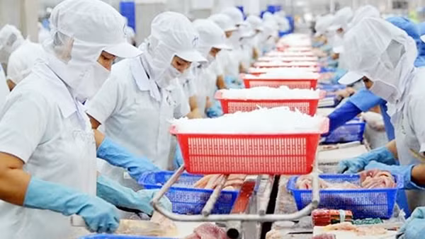 Việt Nam hướng đến xuất khẩu xanh để vào "sân chơi" thế giới