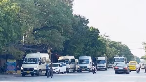 Hải Phòng chỉ đạo dẹp nạn “xe dù, bến cóc” sau phản ánh của báo chí