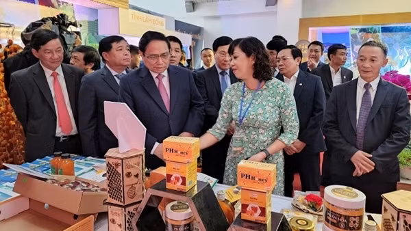 Phát triển kinh tế xã hội vùng Tây Nguyên gắn với đảm bảo quốc phòng, an ninh