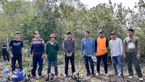 Liên tiếp bắt 2 vụ phá rừng ở Phú Quốc