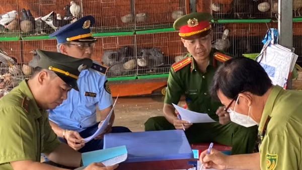Ngăn chặn vấn nạn mua bán trái phép động vật hoang dã tại Long An