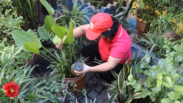 Hà Nội thêm 2 ca tử vong do sốt xuất huyết