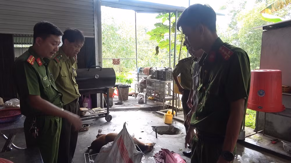 1 quán ăn tàng trữ 12 cá thể động vật hoang dã -0