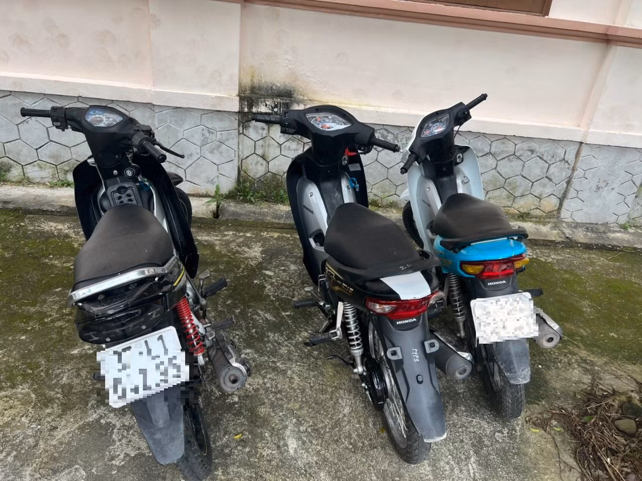 Nhóm chuyên “đột vòm” nhà thờ, đền chùa liên tỉnh sa lưới -0