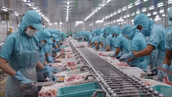 Nhiều lý do khiến doanh nghiệp thiếu đơn hàng