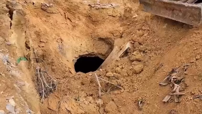 Xử phạt chủ đất nơi khai thác vàng trái phép ở Bình Phước -0