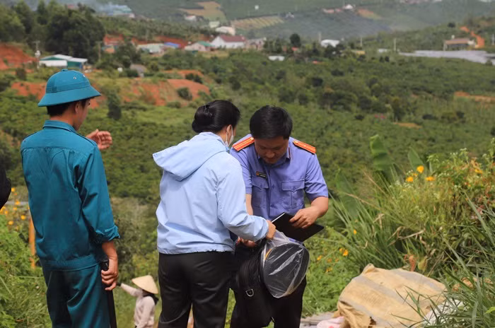 Tranh chấp căng thẳng trong thu hoạch 10ha cà phê -0