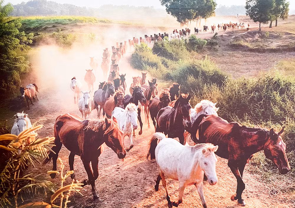 Bí ẩn đồi Bá Vân -0