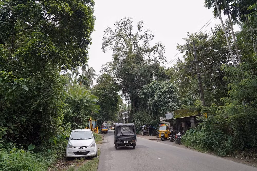 Nipah và mối họa từ động vật hoang dã -0