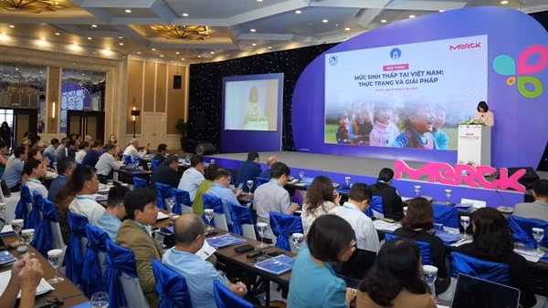 TP Hồ Chí Minh có mức sinh thấp nhất cả nước