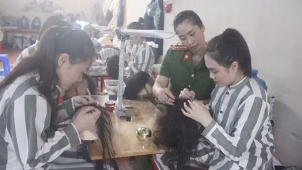 Cải tạo phạm nhân bằng chính sách nhân đạo và khoan hồng