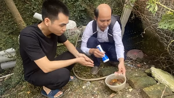 Từ đầu năm đến nay, đã có 35 ca tử vong do sốt xuất huyết