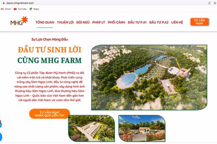 Nhiều người trắng tay vì đầu tư vào dự án sâm Ngọc Linh “trên giấy” -0