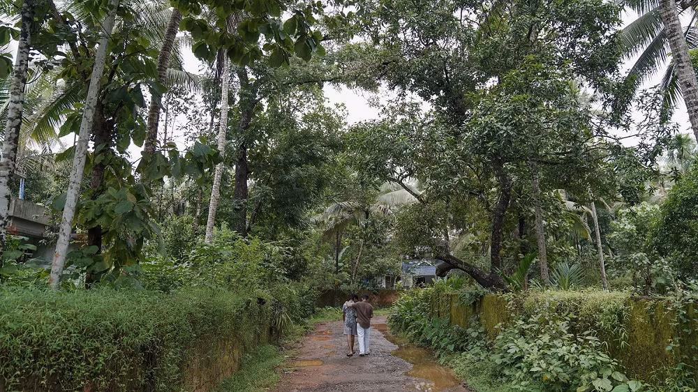Nipah và mối họa từ động vật hoang dã -0