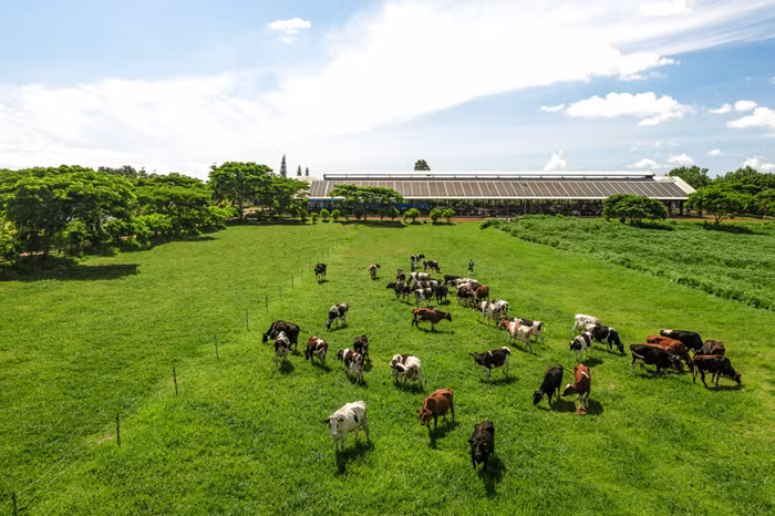 Người dân hưởng lợi gì khi doanh nghiệp làm “NET ZERO”? -1