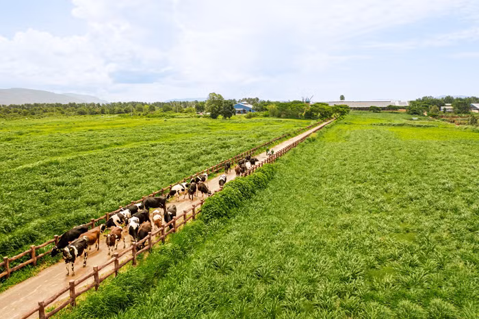 Người dân hưởng lợi gì khi doanh nghiệp làm “NET ZERO”? -0