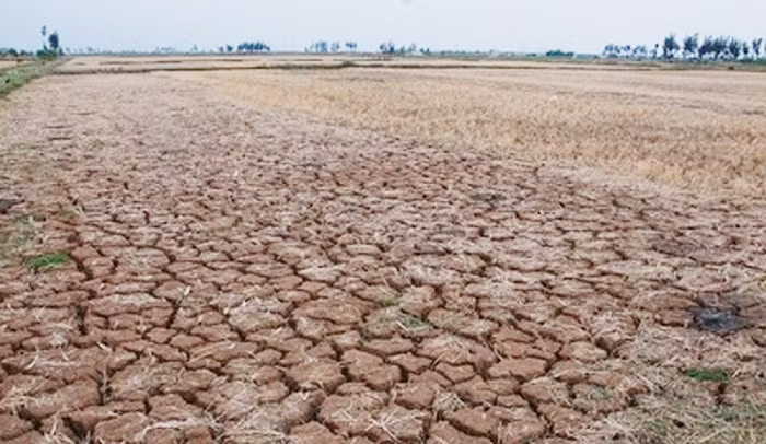 Hỗ trợ tỉnh Ninh Thuận 1,9 tỷ đồng để ứng phó với hạn hán -0
