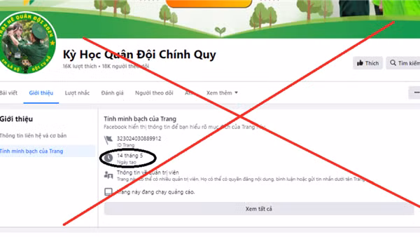 Bị lừa 1,6 tỷ đồng vì đăng ký cho con tham gia trại hè giả mạo