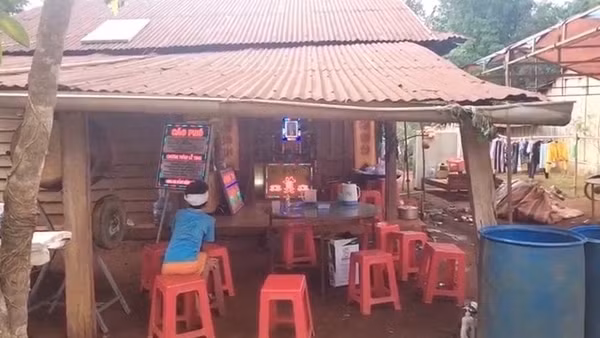 Một người tử vong sau 4 tháng bị chó dại cắn