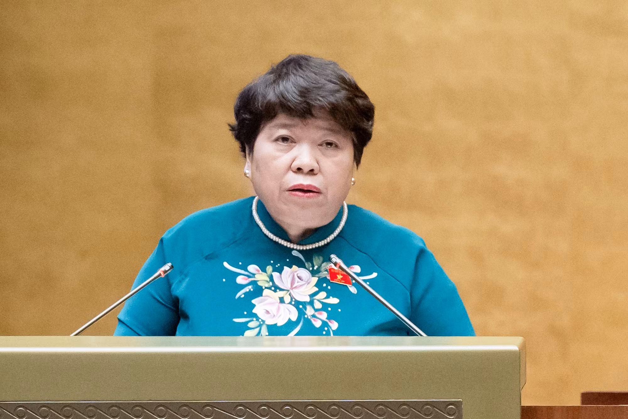 nguyễn thuý anh.jpg -0