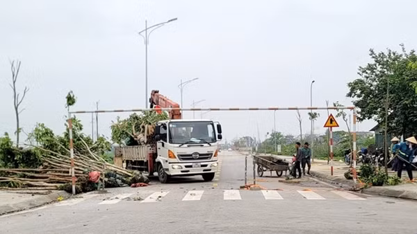 Hà Tĩnh chậm báo cáo về các dự án trồng cây xanh của Công ty Công Minh