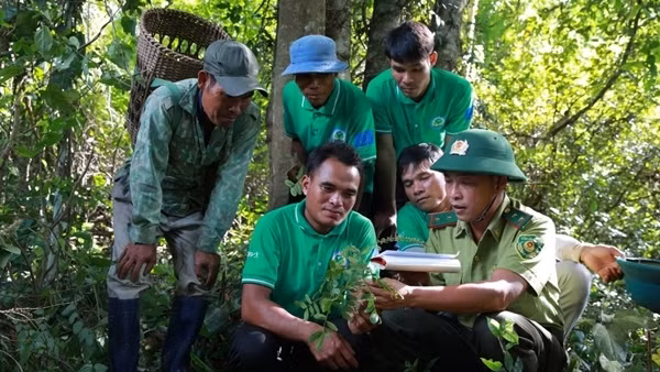 Nhiều việc làm “sám hối” với những cánh rừng quý hiếm ở Quảng Trị