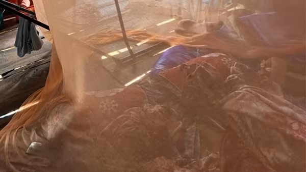 3 người trong một gia đình bị điện giật tử vong