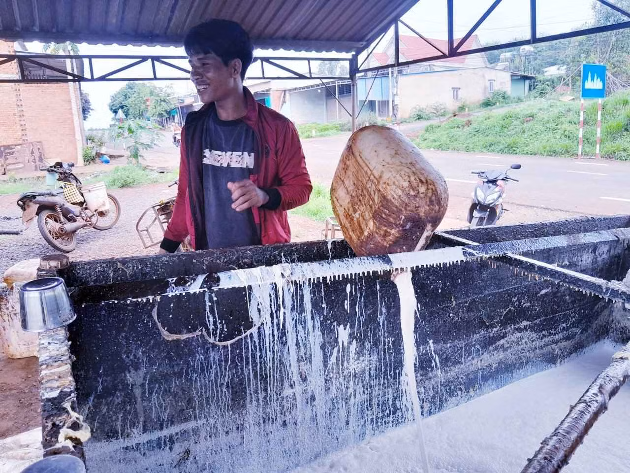 Bình Phước: Giá mủ cao su tăng mạnh, nông dân vui mừng -0