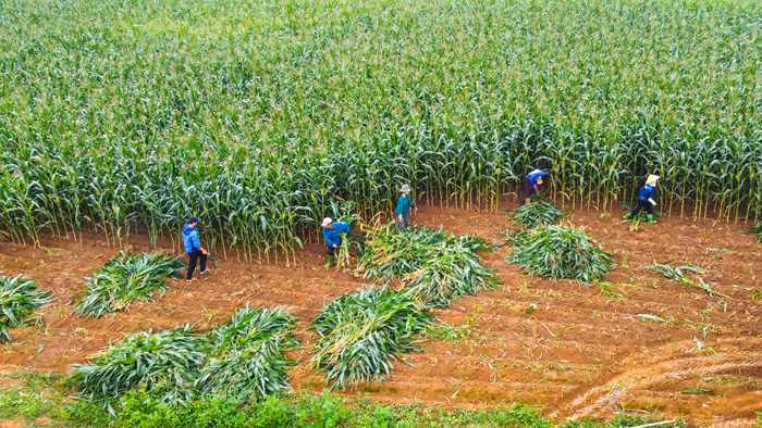 Người dân hưởng lợi gì khi doanh nghiệp làm “NET ZERO”? -1