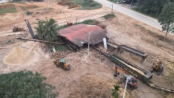 Cơ sở băm dăm, chế biến gỗ trái phép “mọc lên như nấm”