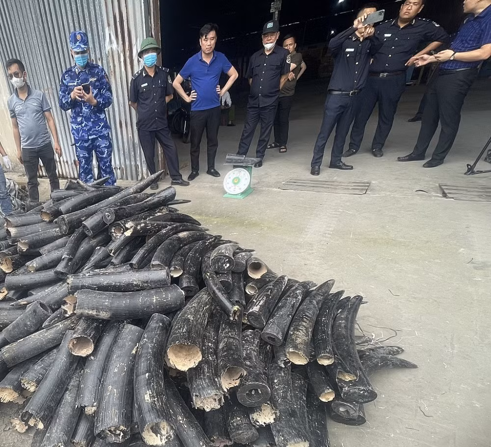 Triển khai Chiến dịch Con Rồng Mê Kông 6 -0