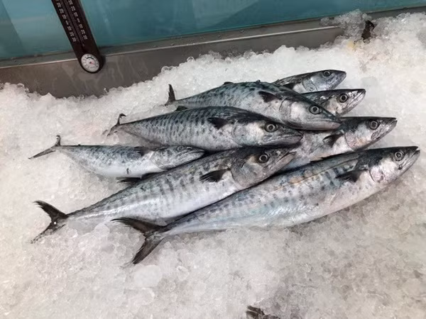 Tìm ra nguyên nhân khiến hơn 150 công nhân ngộ độc ở Phú Thọ -0