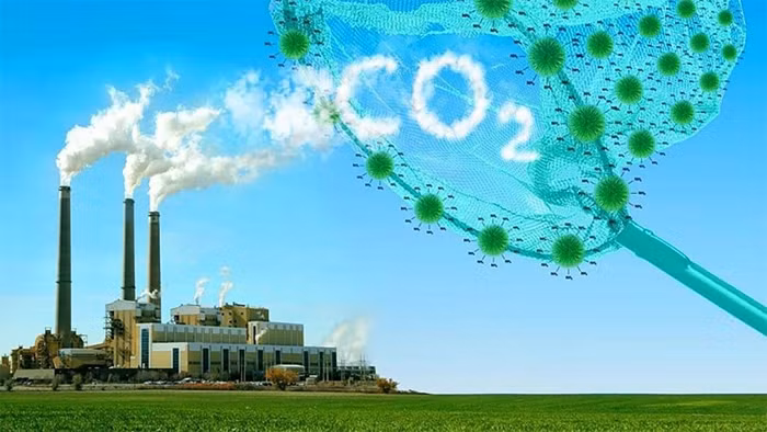 Xây dựng và triển khai Đề án ứng phó với cơ chế điều chỉnh biên giới carbon -0