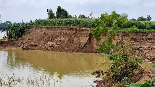 Phú Thọ: Xuất hiện nhiều điểm sạt lở bờ sông sát nhà dân