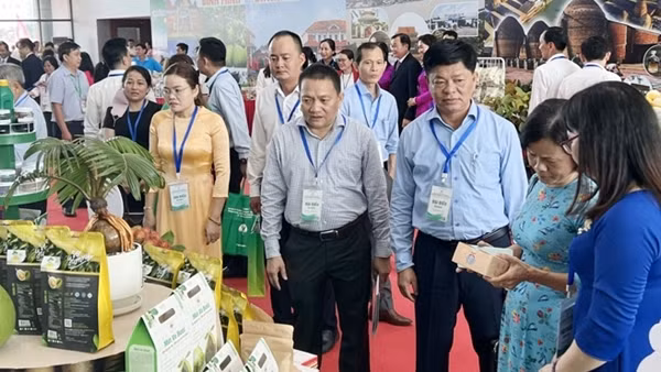 Nỗ lực cải thiện Chỉ số năng lực cạnh tranh cấp tỉnh ở khu vực đồng bằng sông Cửu Long