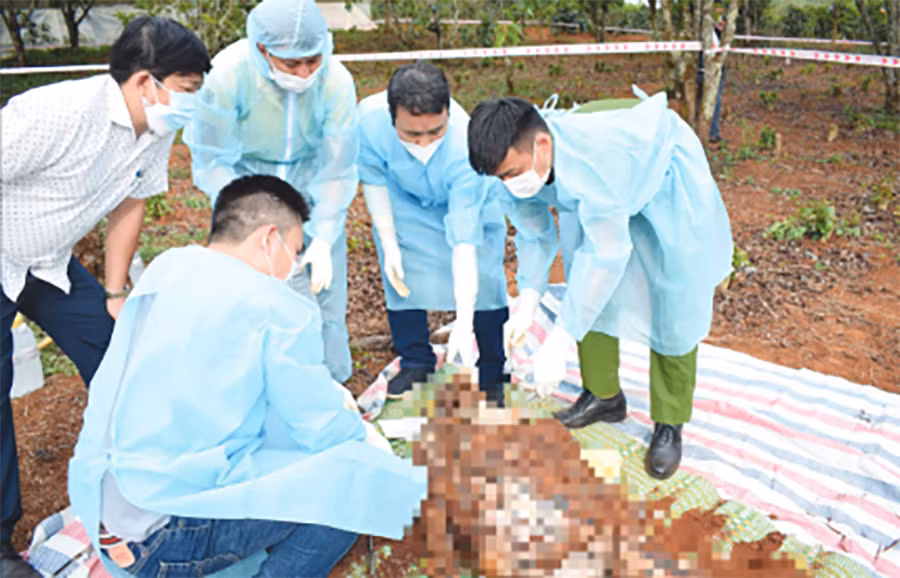 DB36-“Giải mã” những vụ án rúng động ở Tây Nguyên -0