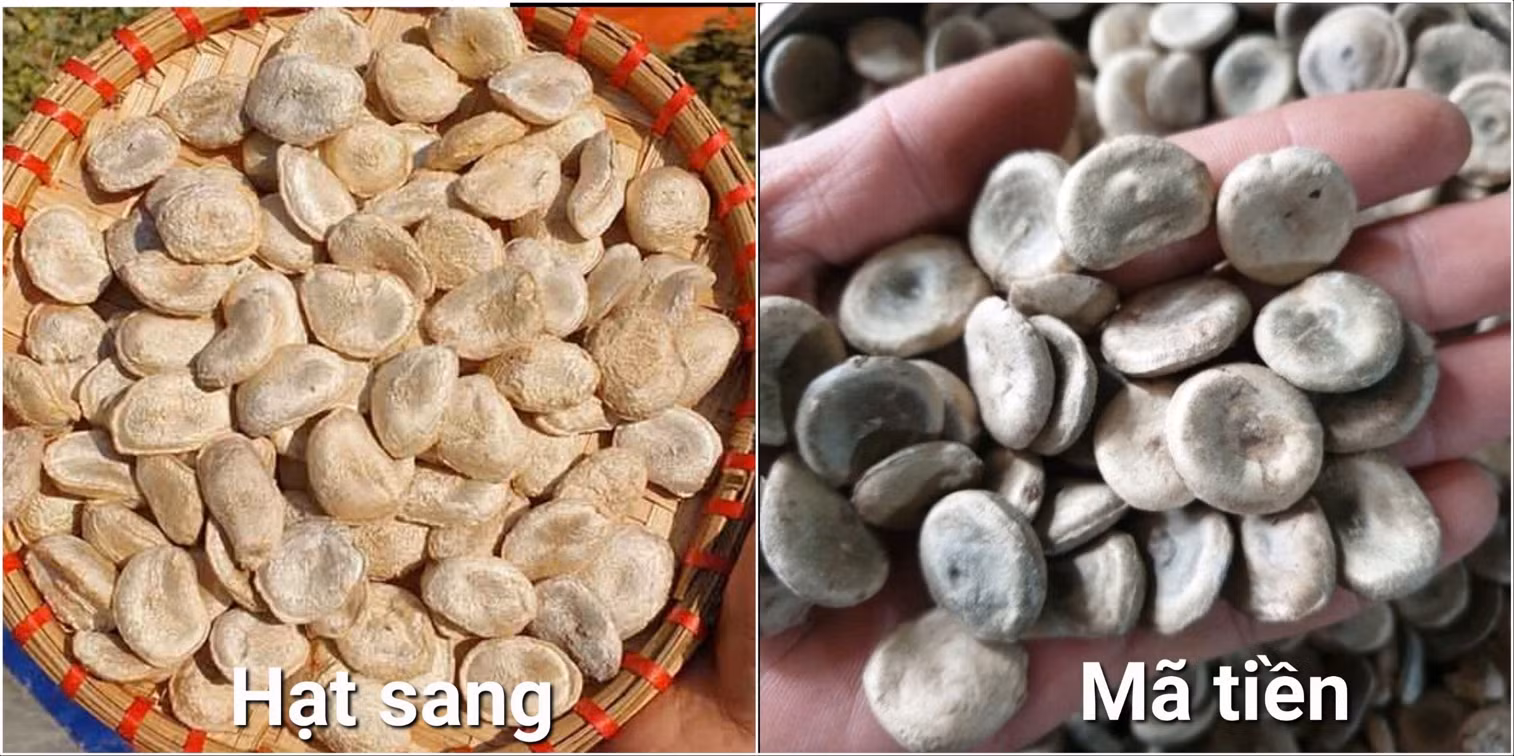 Phát hiện 