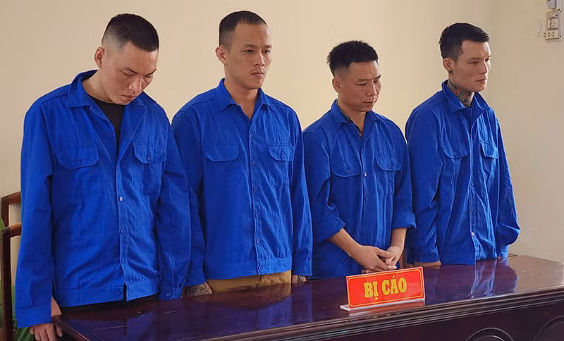 04-bi-cao.jpg -0