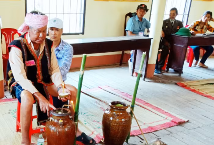 Tiếng vọng đại ngàn -0