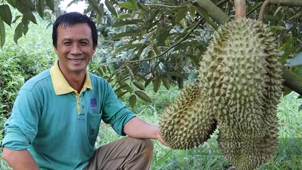 NPK Phú Mỹ: Kết nối thành công, phát triển bền vững cùng thủ phủ sầu riêng