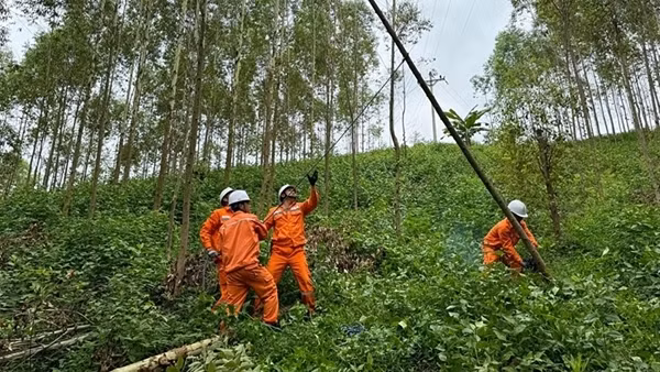 EVNNPC đảm bảo cung cấp điện ổn định dịp nghỉ lễ Quốc khánh