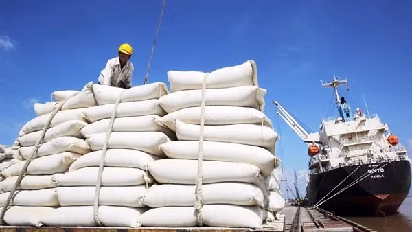 Gia tăng xuất khẩu gạo sang thị trường ASEAN