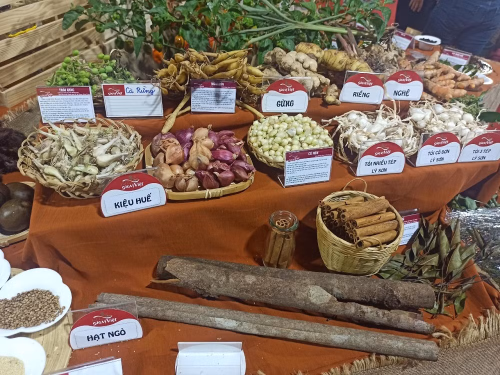 Ngày hội giao thoa ẩm thực của các vùng miền trong cả nước -0