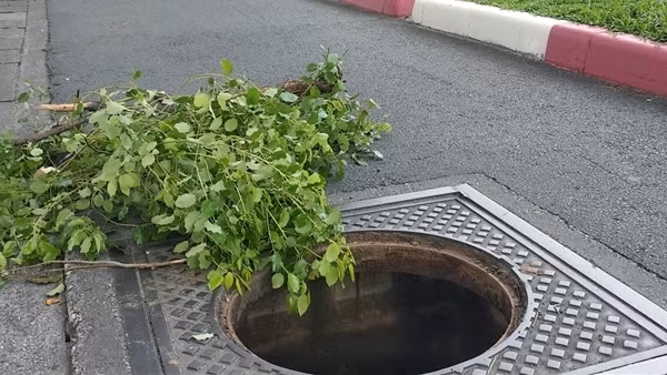 Bắt kẻ trộm hàng chục nắp cống trên cầu Thủ Thiêm 2 ảnh 5