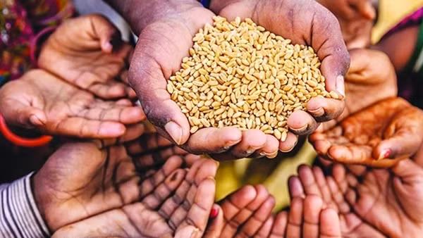 Nghịch lý đe dọa an ninh lương thực toàn cầu ảnh 3