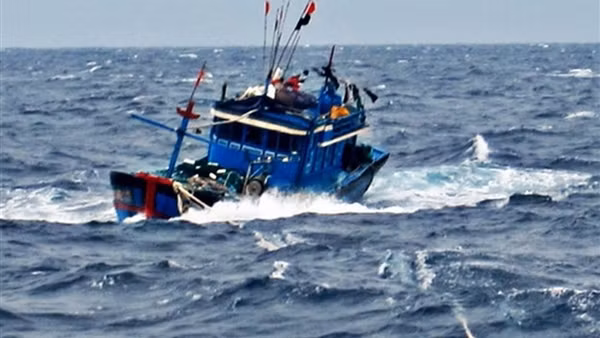 Bốn thuyền viên trên tàu cá mất liên lạc ở Bình Thuận đã trở về ảnh 6