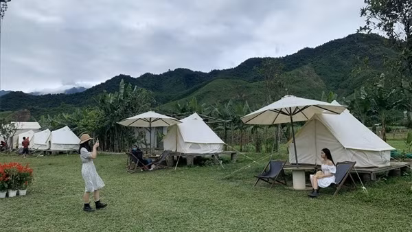 Xử phạt doanh nghiệp chiếm gần 4.000m2 đất rừng sản xuất ảnh 2