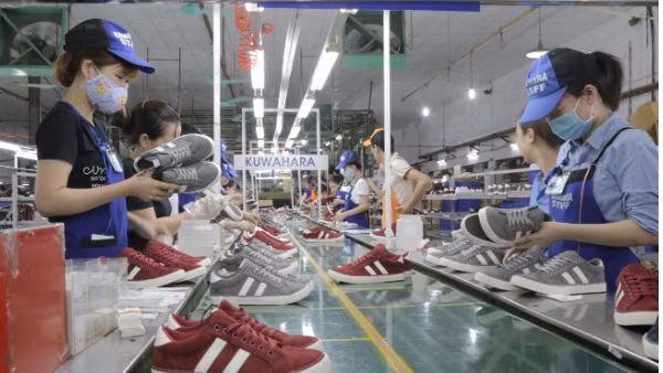 Doanh nghiệp đã tận dụng hiệu quả ưu đãi thuế quan theo các FTA