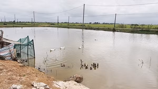 Trúng đấu giá đất sau 16 năm vẫn chưa có mặt bằng “sạch” ảnh 2
