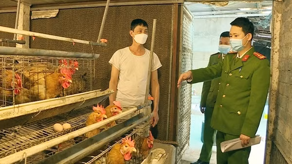 Phòng cháy chữa cháy tại các trang trại chăn nuôi